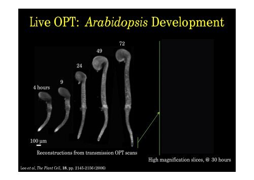 Optical Projection Tomography (OPT) - Biomedicum Imaging Unit ...