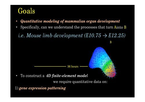 Optical Projection Tomography (OPT) - Biomedicum Imaging Unit ...