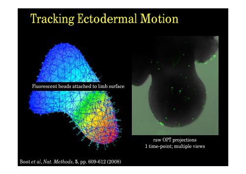 Optical Projection Tomography (OPT) - Biomedicum Imaging Unit ...