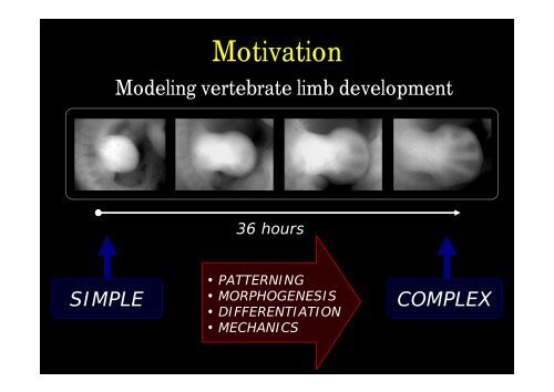 Optical Projection Tomography (OPT) - Biomedicum Imaging Unit ...