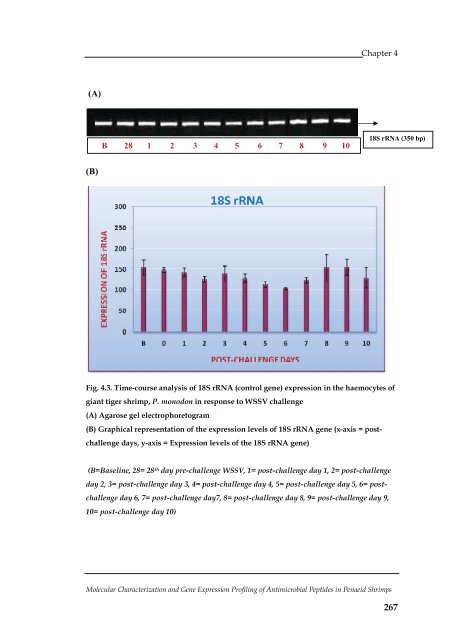 Molecular Characterization and Gene Expression Profiling ... - CUSAT