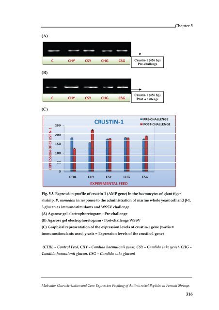 Molecular Characterization and Gene Expression Profiling ... - CUSAT