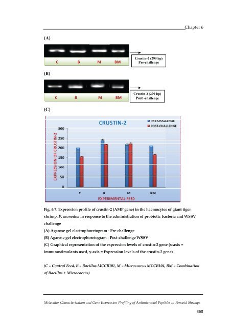 Molecular Characterization and Gene Expression Profiling ... - CUSAT