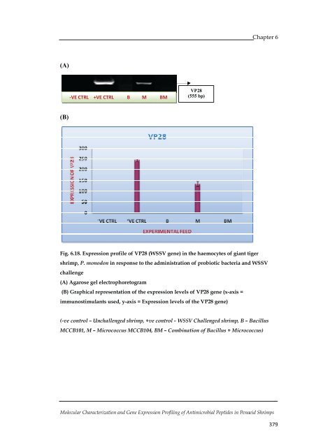 Molecular Characterization and Gene Expression Profiling ... - CUSAT