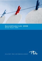 Der Jahresabschluss 2000. - Zellstoff Pöls AG