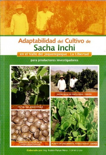 Adaptabilidad del cultivo de Sacha Inchi en el