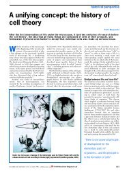 A unifying concept: the history of cell theory