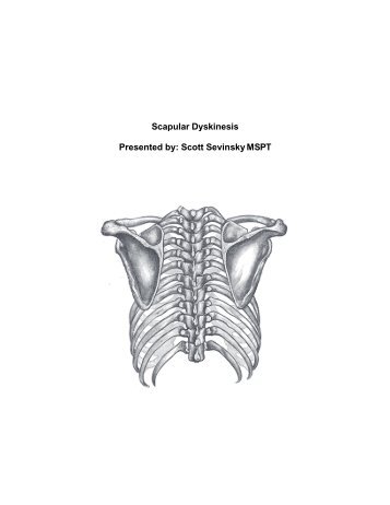 Scapular Dyskinesis Presented by: Scott Sevinsky MSPT