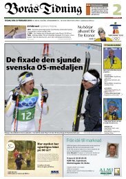 De fixade den sjunde svenska OS-medaljen - Borås Tidning
