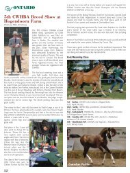 CWBHA Newsletter Issue 4 - Canadian Warmblood Horse Breeders ...