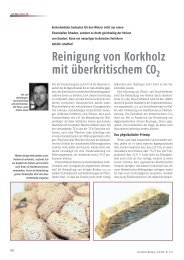 Reinigung Korkholz.pdf - (DLR) Mosel
