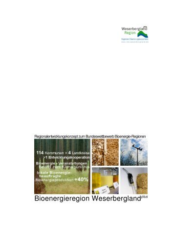 Konzept - Bioenergieregion Weserbergland plus