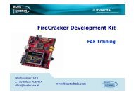 Fire Cracker FAE-Training - Silica