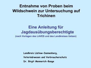 Entnahme von Proben beim Wildschwein zur Untersuchung auf ...