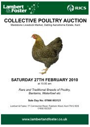 COLLECTIVE POULTRY AUCTION - Lambert and Foster