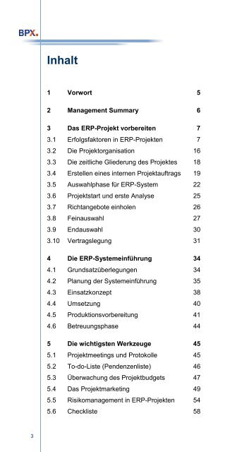 Leitfaden zum ERP- Projektmanagement in KMU - Opacc