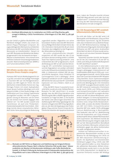 Zellbiologie & Imaging - Laborwelt