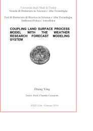 COUPLING LAND SURFACE PROCESS MODEL WITH THE ...