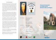 Artenschutzprojekt zur Rettung der Schleiereulen auf Rügen - NABU