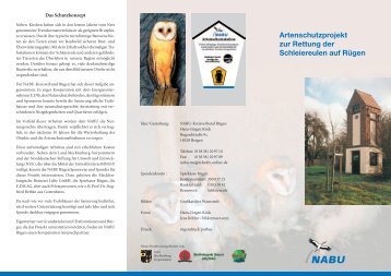 Artenschutzprojekt zur Rettung der Schleiereulen auf Rügen - NABU