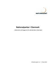 Nationalparker i Danmark - diskussion på baggrund af ... - Naturrådet