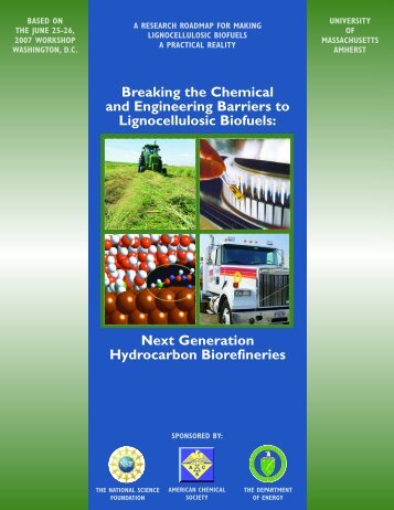 Breaking the Chemical and Engineering Barriers to Lignocellulosic ...