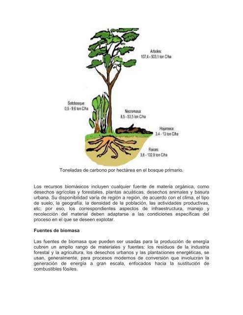 revista-formando-investigadores-2-1