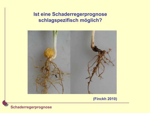 Praxisverwertbare Ergebnisse des Bodenfruchtbarkeitsprojektes - Gäa