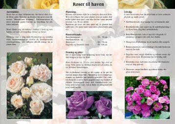 roser til haven - Bilka