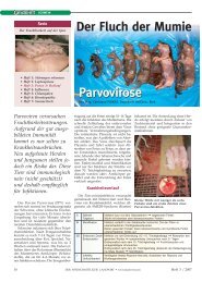Parvovirose Der Fluch der Mumie Parvovirose - Traunkreis Vet Clinic