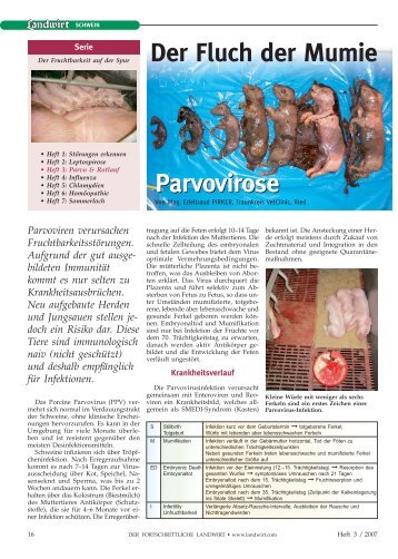 Parvovirose Der Fluch der Mumie Parvovirose - Traunkreis Vet Clinic