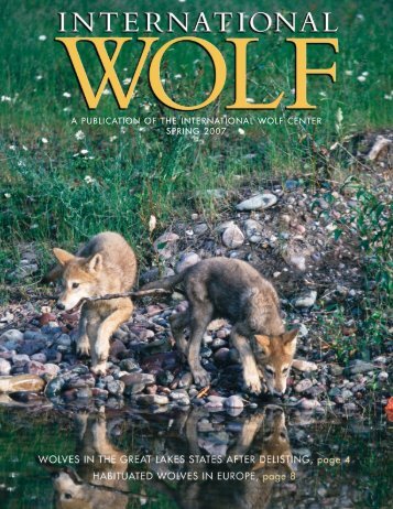 a publication of the international wolf center spring 2007