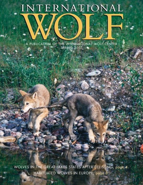 A Publication Of The International Wolf Center Spring 2007