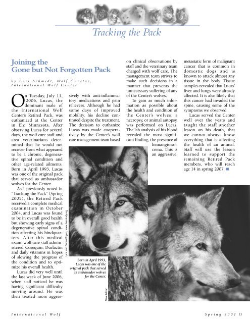 a publication of the international wolf center spring 2007