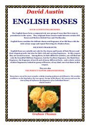 ON LINE BROCHURE English Roses David Austin