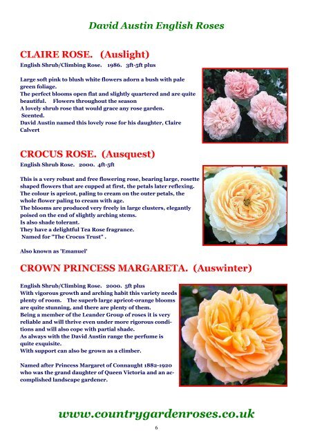 ON LINE BROCHURE English Roses David Austin