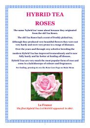 ONLINE BROCHURE Hybrid Tea Roses - Country Garden Roses