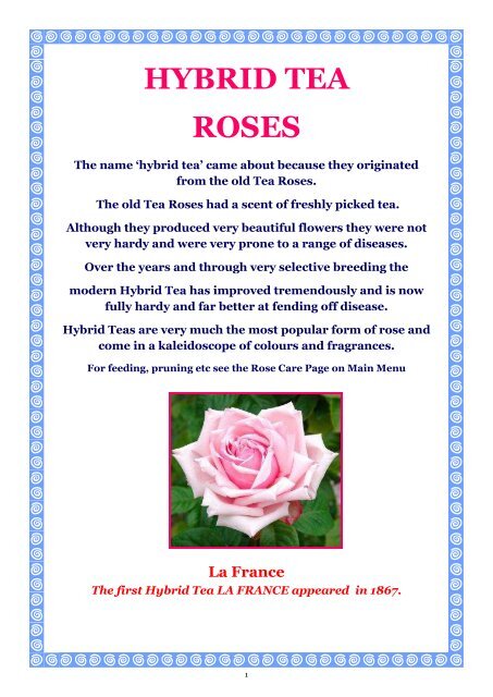 ONLINE BROCHURE Hybrid Tea Roses - Country Garden Roses