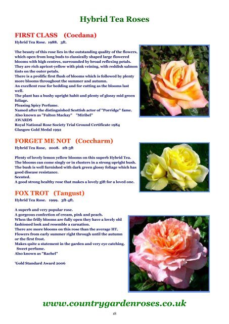 ONLINE BROCHURE Hybrid Tea Roses - Country Garden Roses