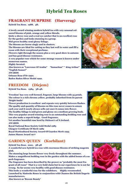 ONLINE BROCHURE Hybrid Tea Roses - Country Garden Roses