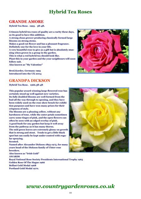 ONLINE BROCHURE Hybrid Tea Roses - Country Garden Roses