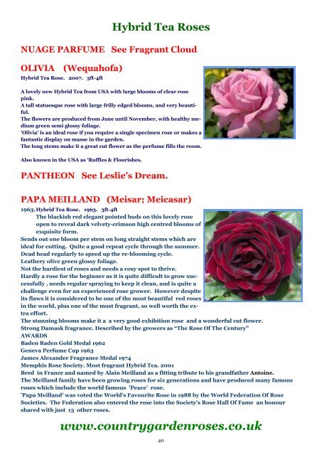 ONLINE BROCHURE Hybrid Tea Roses - Country Garden Roses