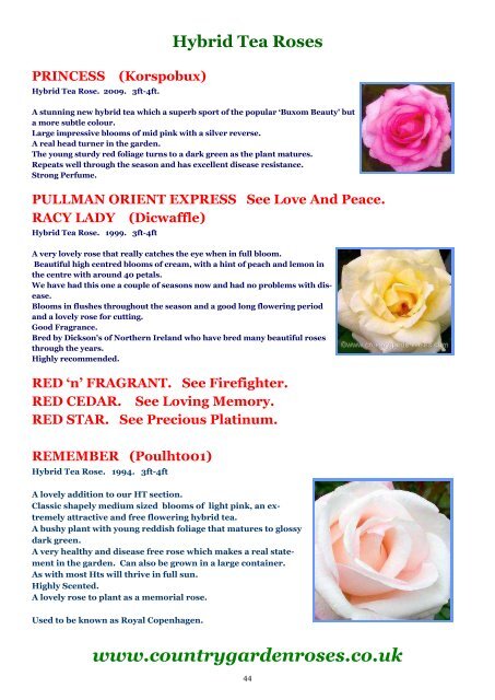 ONLINE BROCHURE Hybrid Tea Roses - Country Garden Roses