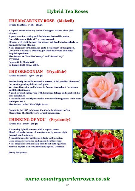 ONLINE BROCHURE Hybrid Tea Roses - Country Garden Roses