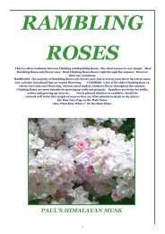 ONLINE BROCHURE Rambling Roses - Country Garden Roses