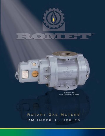 Romet Rotary Gas Meter Catalogue PDF - IMAC Systems, Inc.