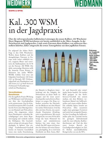 300 Win. Short Magnum in der Jagdpraxis - Weidwerk