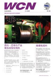 WCN IN CHINESE (PDF)