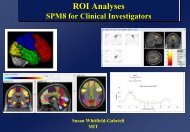 ROI Processing - Neurometrika