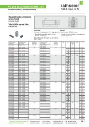 PDF 4,25 - Ramseier-Normalien